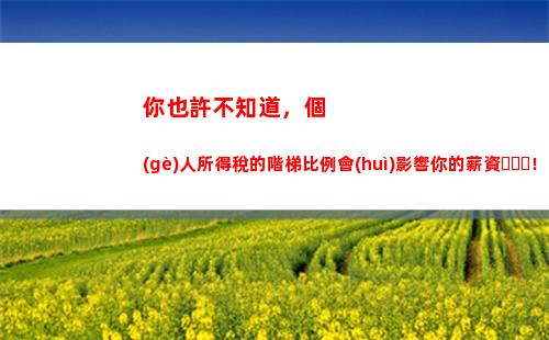 育兒個(gè)人所得稅(個(gè)人所得稅育兒扣除比例)